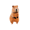 Capybara Wasserschwein Capybaras