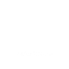 Britisch Kurzhaar Katze