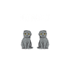 Scottish Fold Katze