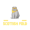 Scottish Fold Katze