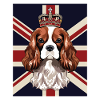 Cane Spaniel dell'incoronazione di re Carlo