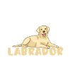 Labrador Lover Gifts