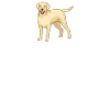 Labrador Lover Gifts