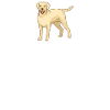 Labrador Lover Gifts