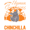 Chinchilla Costume Halloween