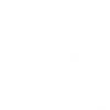 Oiseau blanc Vitruve