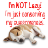 Lazy Pooch