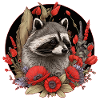 Waschbär Waldtiere