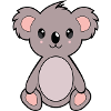Chidi the koala