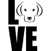 Chien Hund