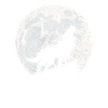 Wolf ist mein Krafttier