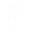 is mir Pusteblume 1