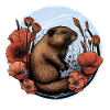 Beaver beaver protection