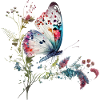 Delicate butterfly