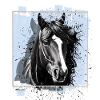 Cheval