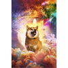 Shiba Inu - Rainbow Space Explosion