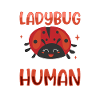 Ladybug Ladybug Entomology Insects