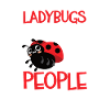 Ladybug Ladybug Entomology Insects