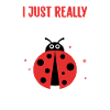 Ladybug Ladybug Entomology Insects