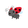 Ladybug Ladybug Entomology Insects
