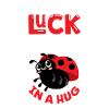 Ladybug Ladybug Entomology Insects