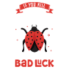 Ladybug Ladybug Entomology Insects