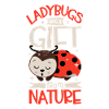 Ladybug Ladybug Entomology Insects