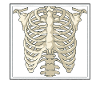Radiology Radiologist