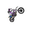 Motorcross / Enduro / Freestyle mx / Dirtbike retro