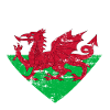 Wales Flag Heart