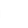 magnificent disaster phrase