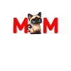 siamese cat