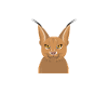 Großer Floppa Karakal Katze Meme