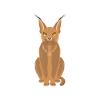 Big Floppa Caracal Cat Meme