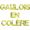 Gaulois en colère