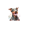 Doberman Pinscher Dog Dobie