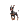 Doberman Pinscher Dog Dobie