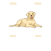 Labrador Lover Gifts