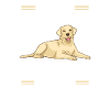Labrador Lover Gifts