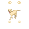 Labrador Lover Gifts