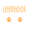 Cadeaux amoureux du Labrador