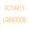Labrador Lover Gifts