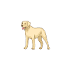 Labrador Lover Gifts