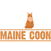 Maine Coon Cat