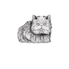Persakatze Katze