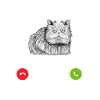 Persakatze Katze