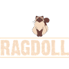 Ragdoll Cat Cat