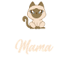 Siamkatze Katze