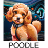 ToyPoodle