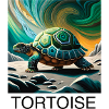 Tortoise